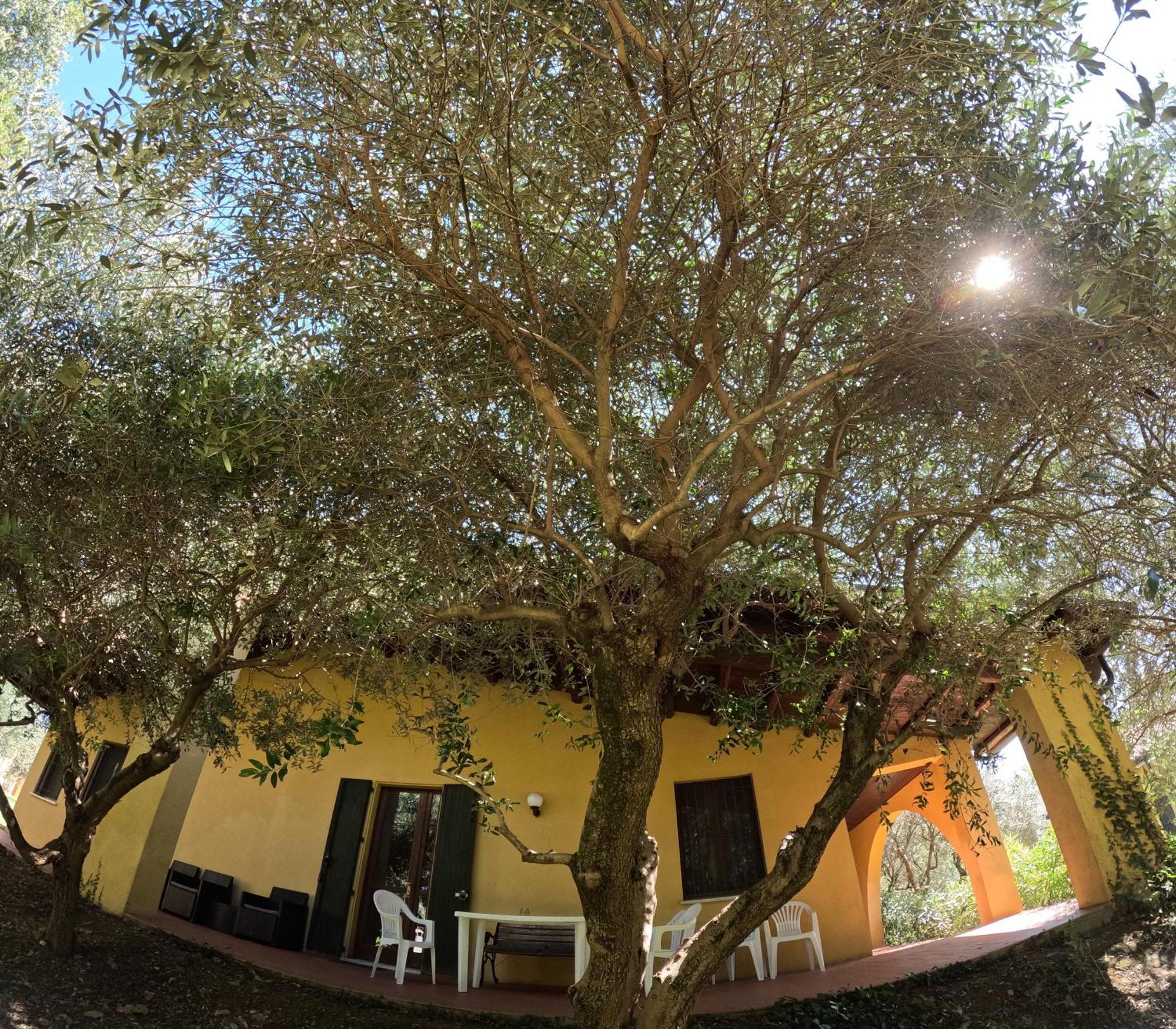 Agriturismo Gardenali Volta Mantovana Quarto foto